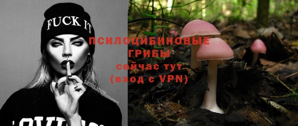 а пвп мука Аркадак