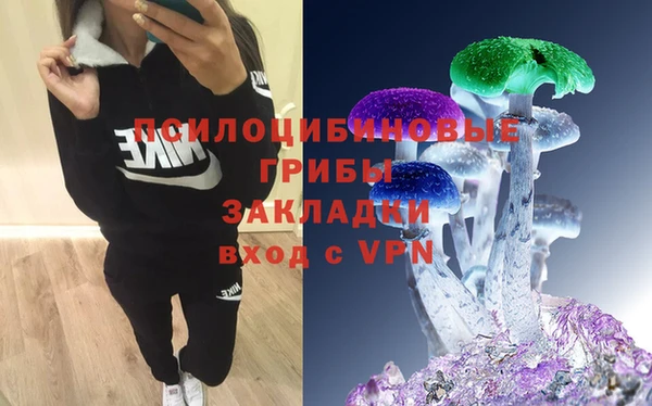 а пвп мука Аркадак