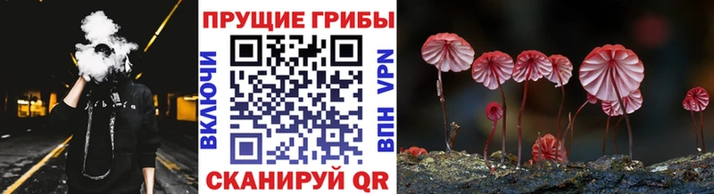 Псилоцибиновые грибы мицелий  наркошоп  Усолье 